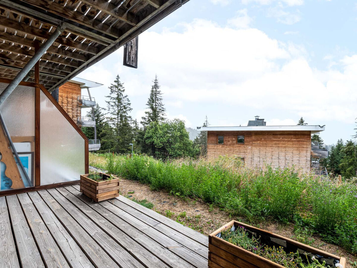 Studio 34 m² Chamrousse, 6 personnes à 300 m des pistes - Photo 16