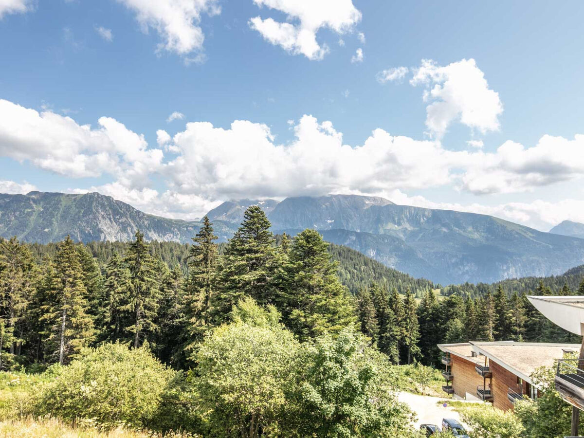 Apt 2 pièces 30m² Chamrousse, 50m des pistes - Photo 12