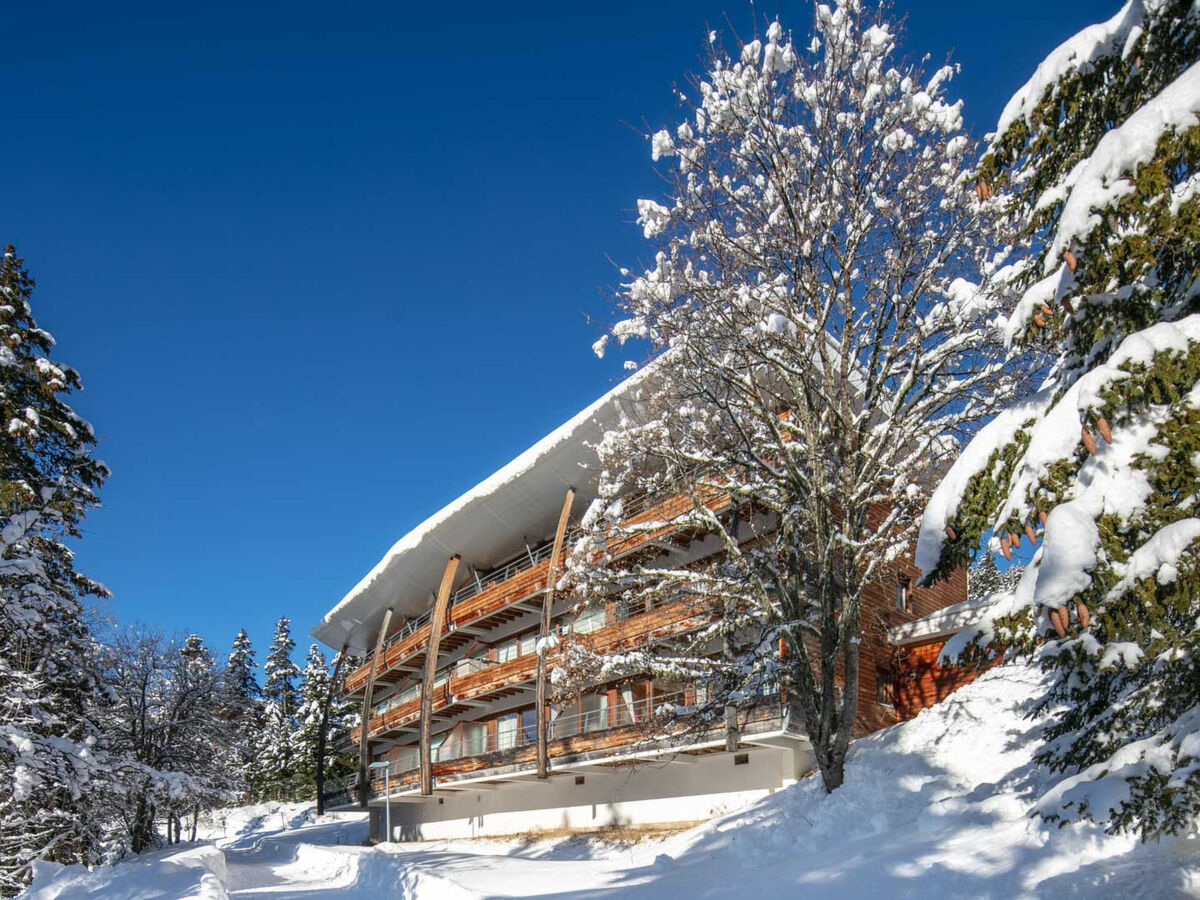 Studio 33 m² Chamrousse, 5 lits pour groupe - Photo 14
