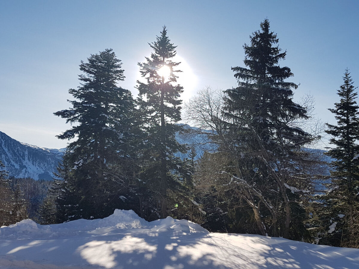 V du Bachat Arolles A, 2 pièces Chamrousse - Photo 26