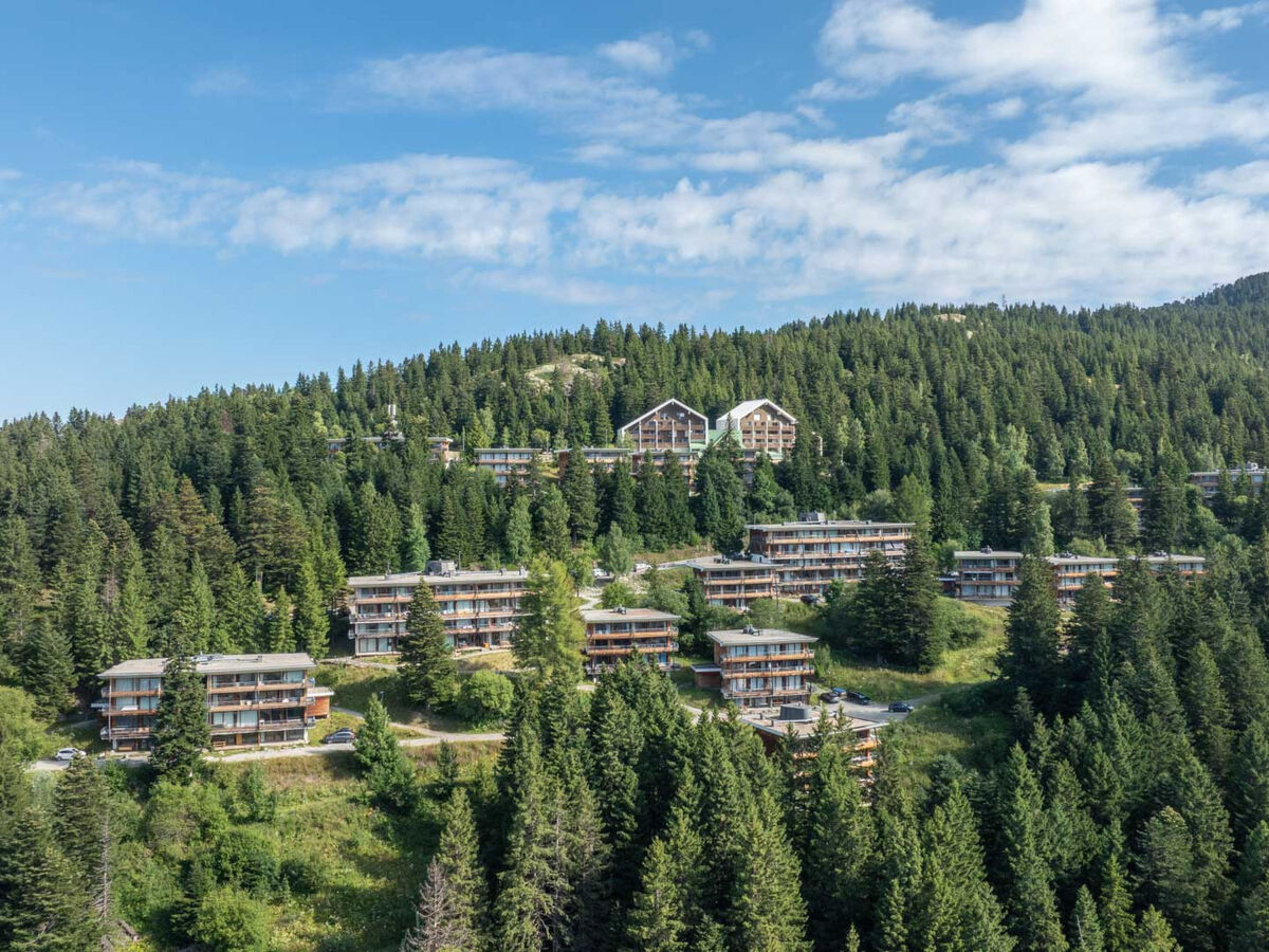 Asters D – Apt 2 pièces 33m² à 60m des pistes - Photo 13