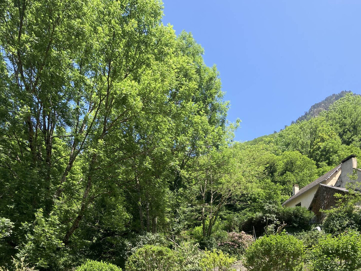 Studio 18 m² vue montagne à Cauterets, 4 pers - Photo 19