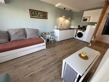 Appartement climatisé 2 pièces rénové, plage à 100 m, Le Grau-du-Roi : photo 2