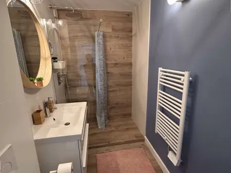 Appartement climatisé 2 pièces rénové, plage à 100 m, Le Grau-du-Roi : photo 11