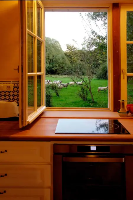 Maison avec piscine privée et poêle à bois à Beaumont-Village : photo 3