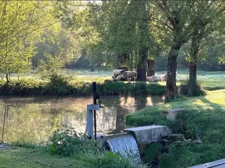 Maison avec piscine privée et poêle à bois à Beaumont-Village : photo 24