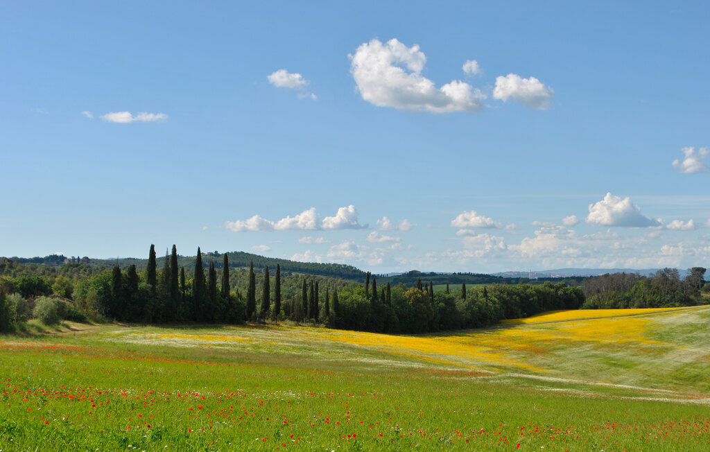 Il Poggettone, Maison 6 personnes à Monteroni D´Arbia - Photo 36