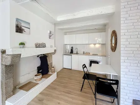 Charmant studio refait à neuf avec terrasse - animaux admis, Wi-Fi gratuit - Photo 4