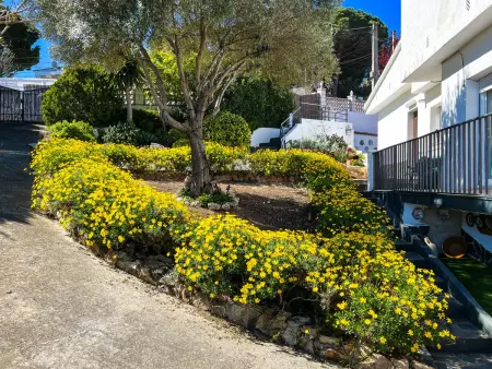 Maison avec piscine privée, barbecue, Wi-Fi et animaux admis pour 10 pers. - Photo 11