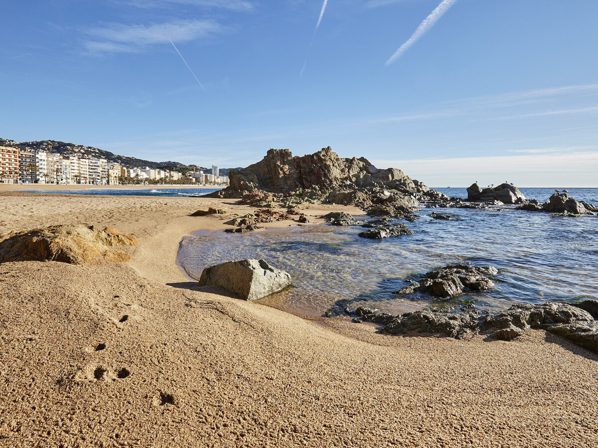 Francesco : Appartement 300 m plage, centre Lloret - Photo 31