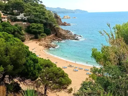 Appartement Angels à Blanes, 2 pers., 1 min de la plage : photo 24