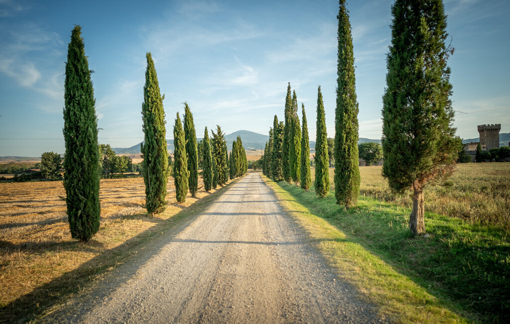 Maison 8 personnes à Pienza - Photo 32