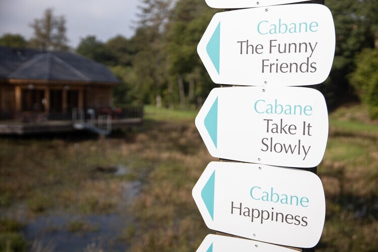 Cabane The Early Birds – 6 pers., vue sur l'eau - Photo 19