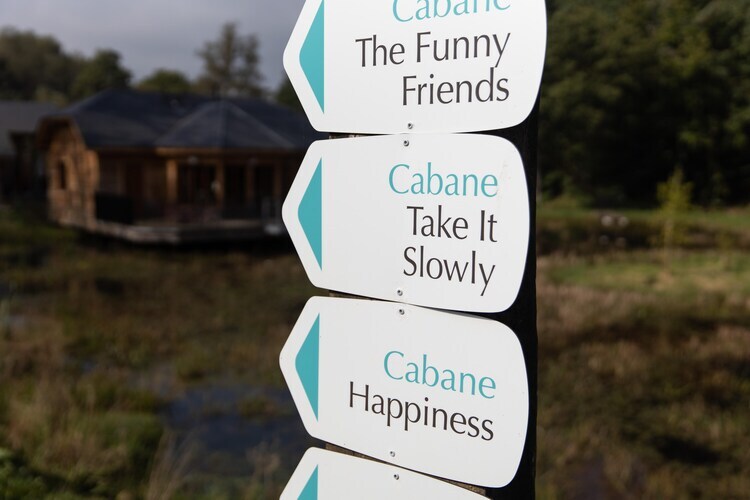 Cabane The Early Birds – 6 pers., vue sur l'eau - Photo 28