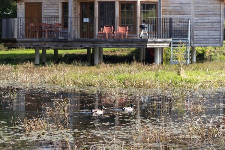 Cabane The Early Birds – 6 pers., vue sur l'eau - Photo 29