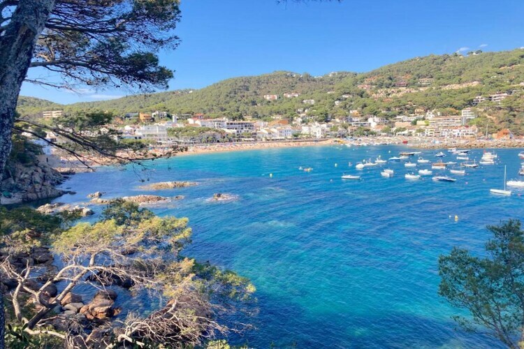 Can Benet 1º – Villa 6 pers., plage à 1 km - Photo 35