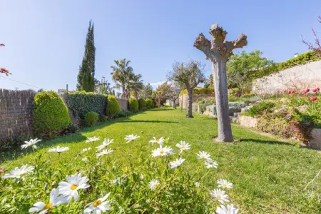 Mas Guelo, Villa à Blanes avec piscine privée - Photo 13