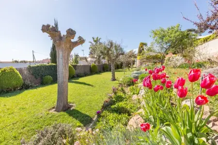 Mas Guelo, Villa à Blanes avec piscine privée - Photo 14