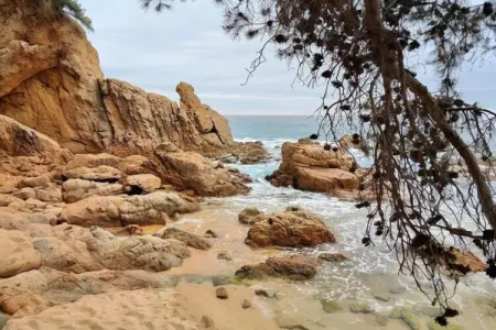 Mas Guelo, Villa à Blanes avec piscine privée - Photo 23