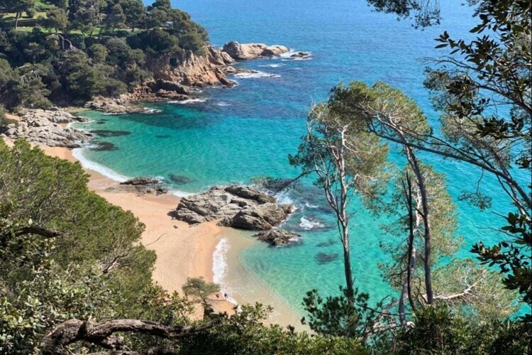Villa Senals – Piscine privée et vue mer à Lloret de Mar - Photo 30