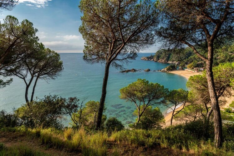 Villa Norita à Lloret de Mar - Piscine privée - Photo 25