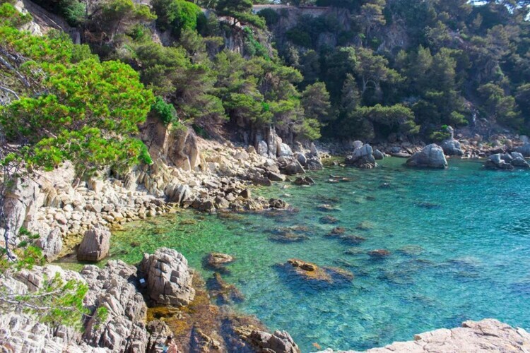 Villa Sotet à Vidreres : piscine privée et vue montagne - Photo 23