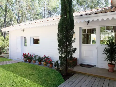Villa 4 chambres avec piscine chauffée au Cap Ferret, Dunes de Piquey : photo 21