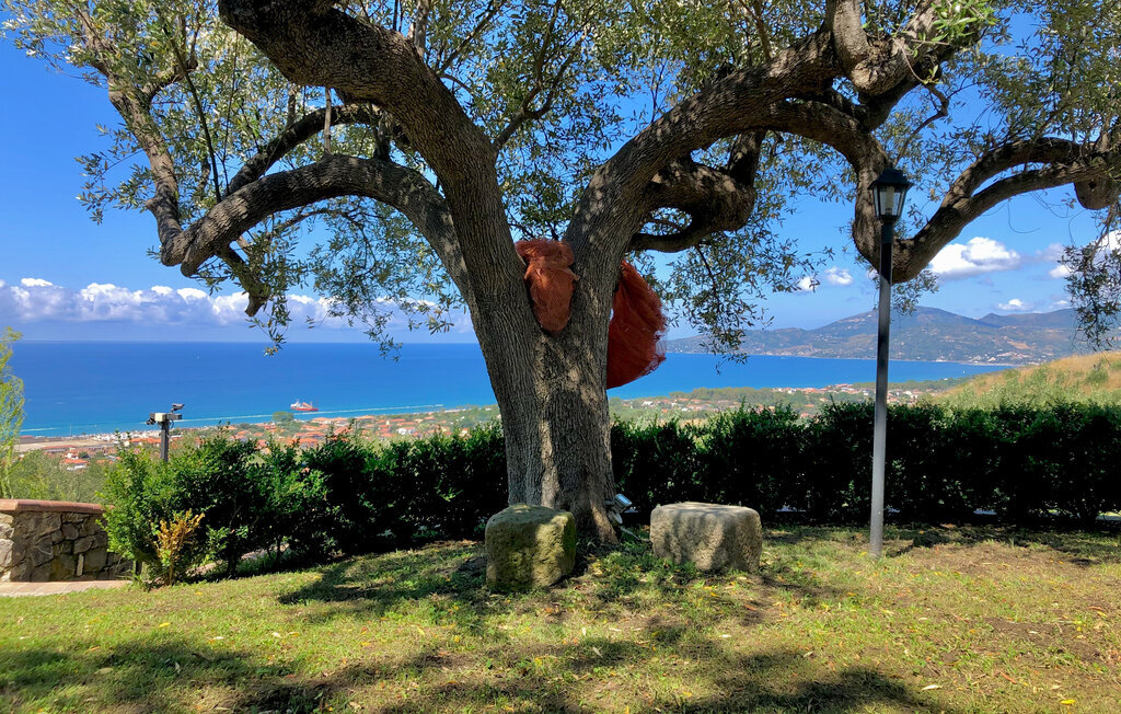 Il Giardino dei Filosofi, Appartement 6 personnes à Ascea - Photo 5