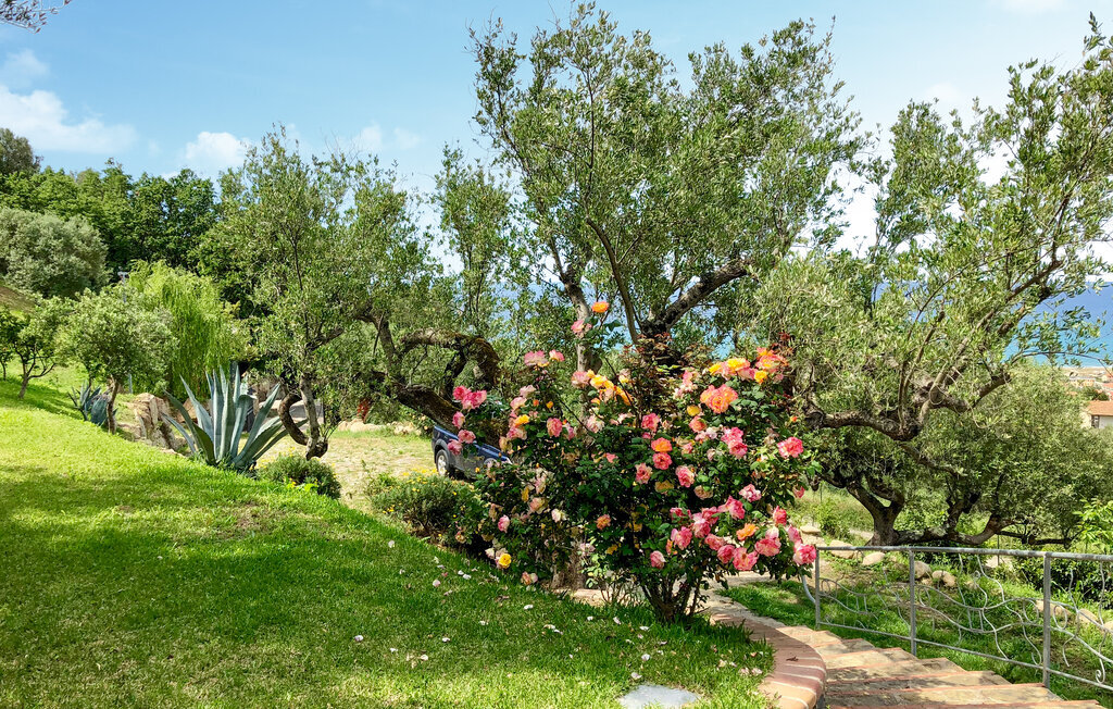 Il Giardino dei Filosofi, Appartement 6 personnes à Ascea - Photo 17