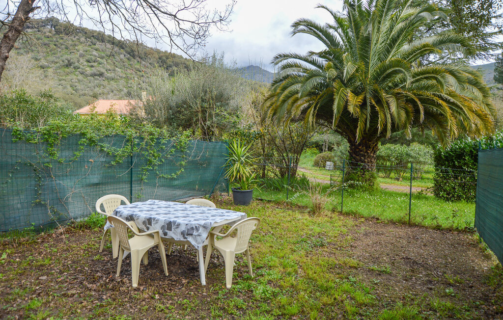 Maison mitoyenne Vignale, jardin méditerranéen 150 m² - Photo 2
