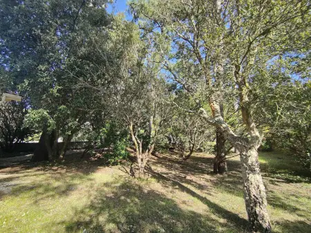Villa 90 m² jardin clos 950 m² au Cap Ferret : photo 3
