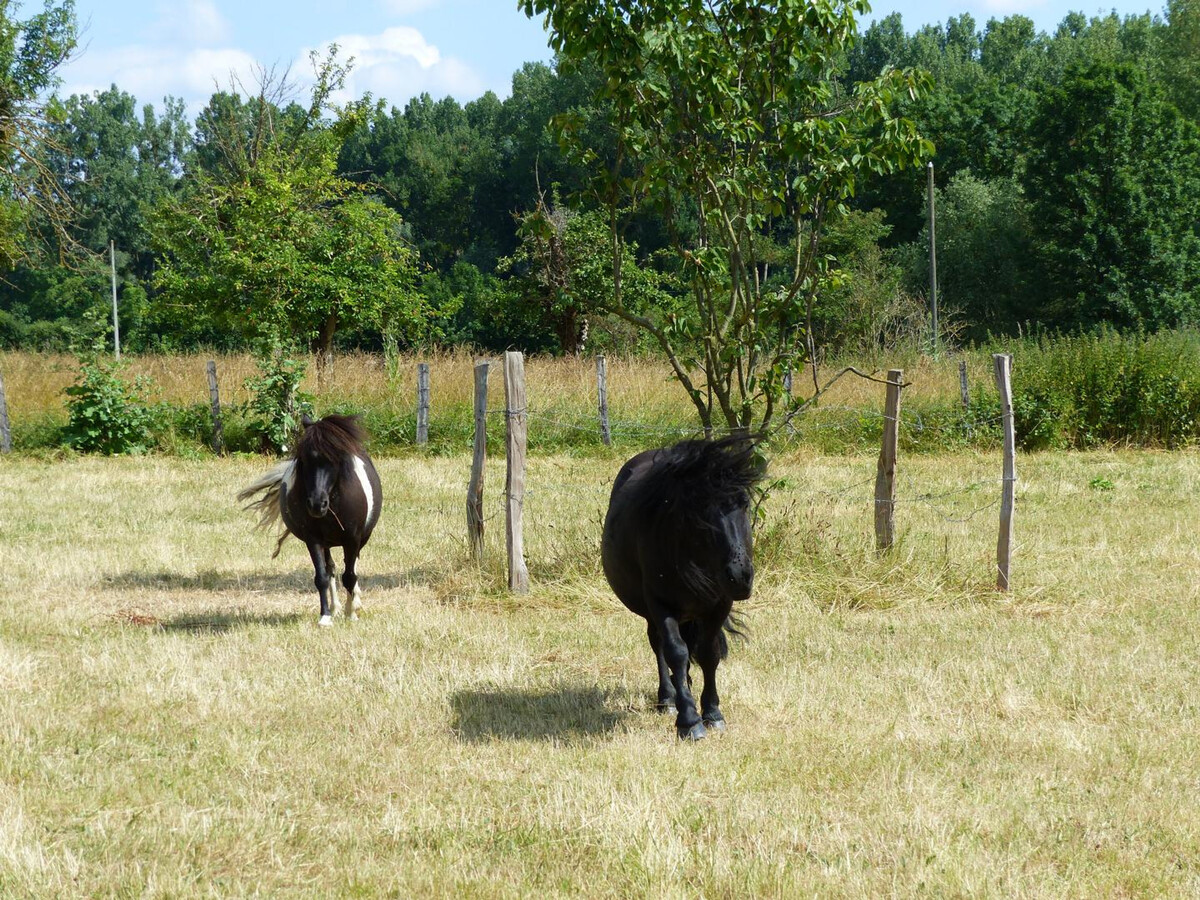 Gîte des Serviers - Ferme XVIIe siècle à Vicq - Photo 20