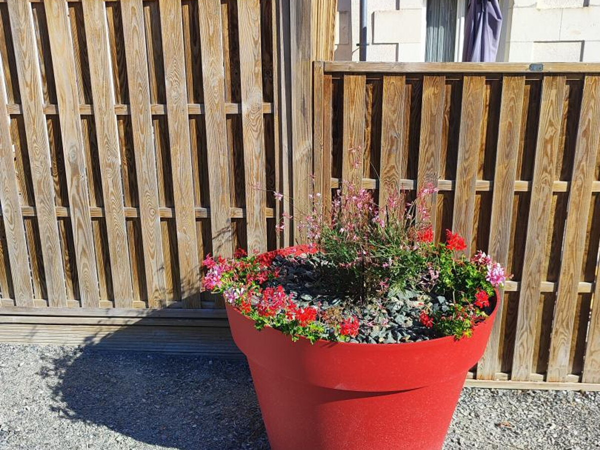 Gîte 2 maisons 11 pers. à Meusnes, près Beauval - Photo 30