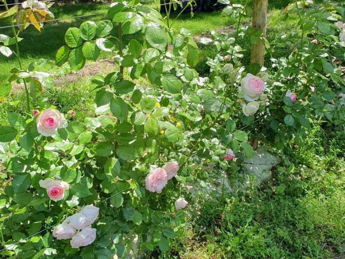 Le Moulin de Ronsard : 8 pers, jardin et vue sur le Loir - Photo 36