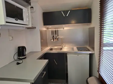 Location appartement à Brides les Bains, Studio 4 pers avec balcon et parking, WIFI inclus, animaux admis