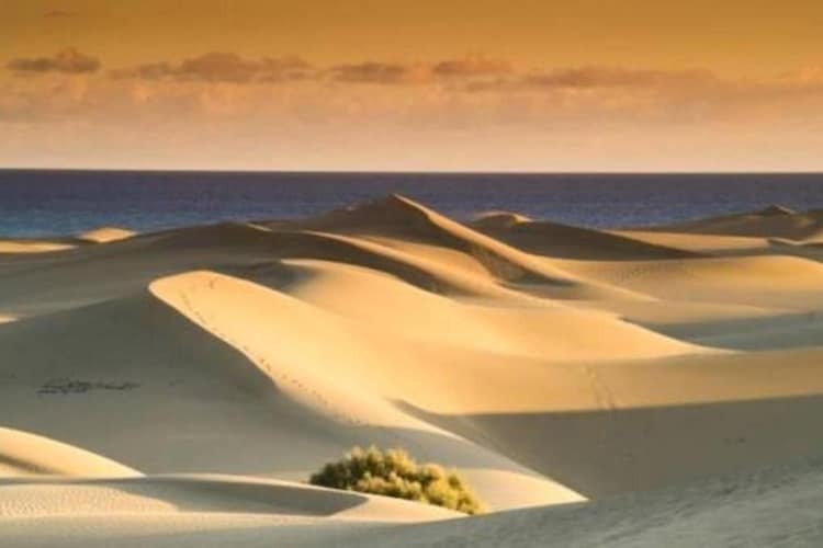 Casa Maspalomas - Maison 6 personnes avec piscine - Photo 33