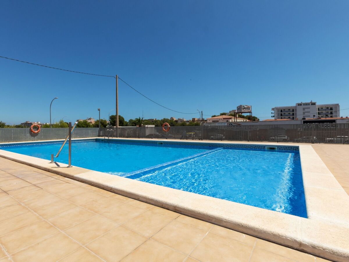 Tropikana – Appartement 4 pers. à 10 m de la plage - Photo 21