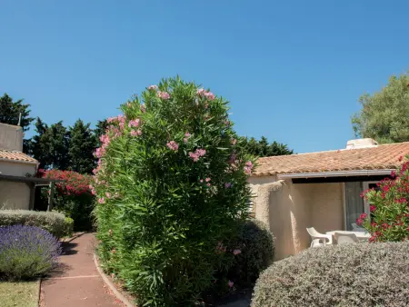 Sowell Résidence Les Lauriers Roses, Cap d'Agde : photo 19