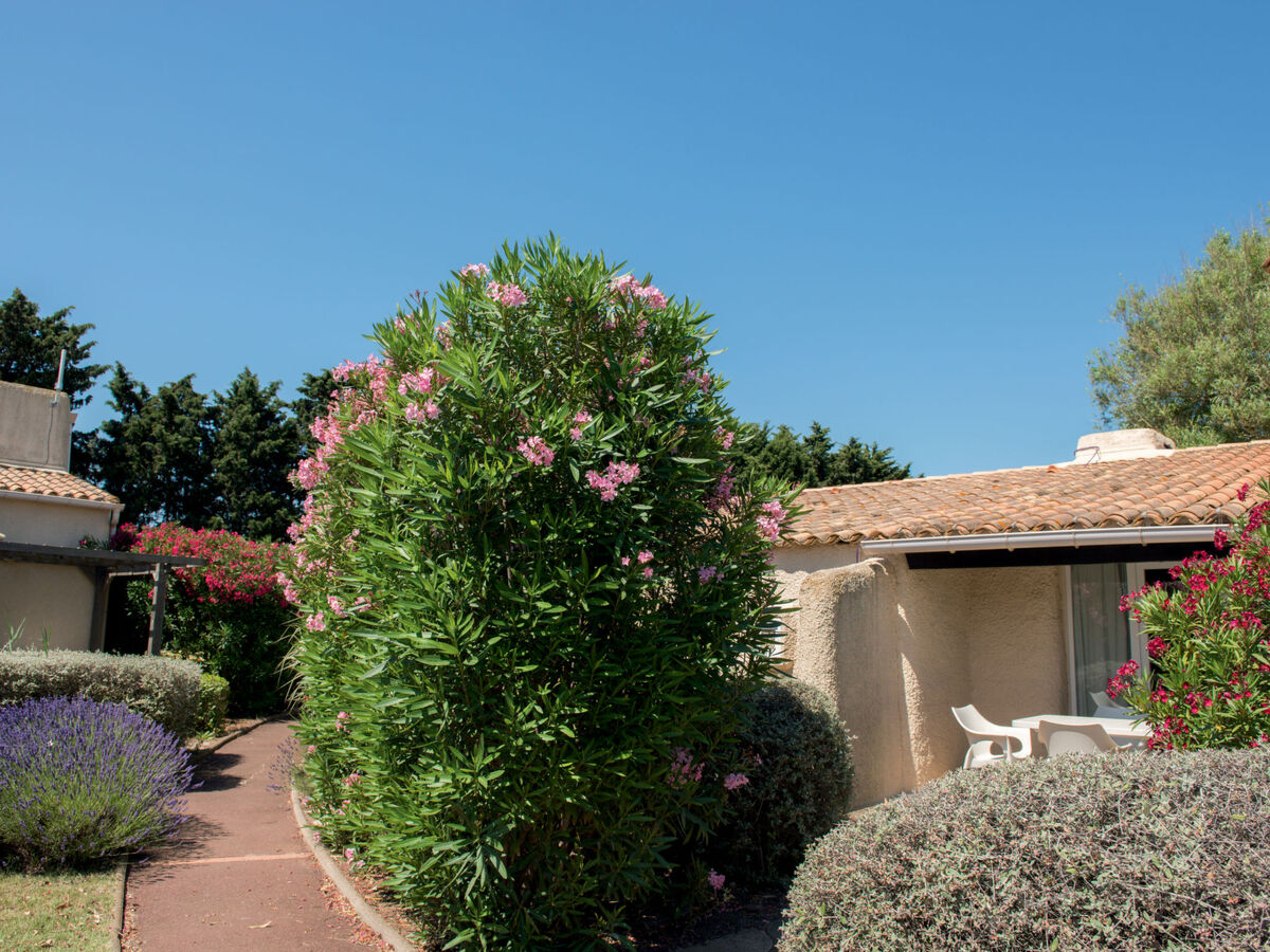 Apt 3 pièces Sowell Les Lauriers Roses, Cap d'Agde - Photo 4