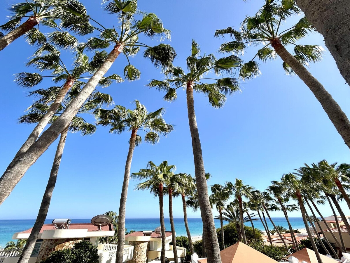 Appartement rénové face plage à Costa Calma - Photo 16