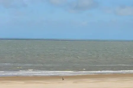 Villa Zeerobbenlaan 12 vue mer à Knokke-Heist : photo 31