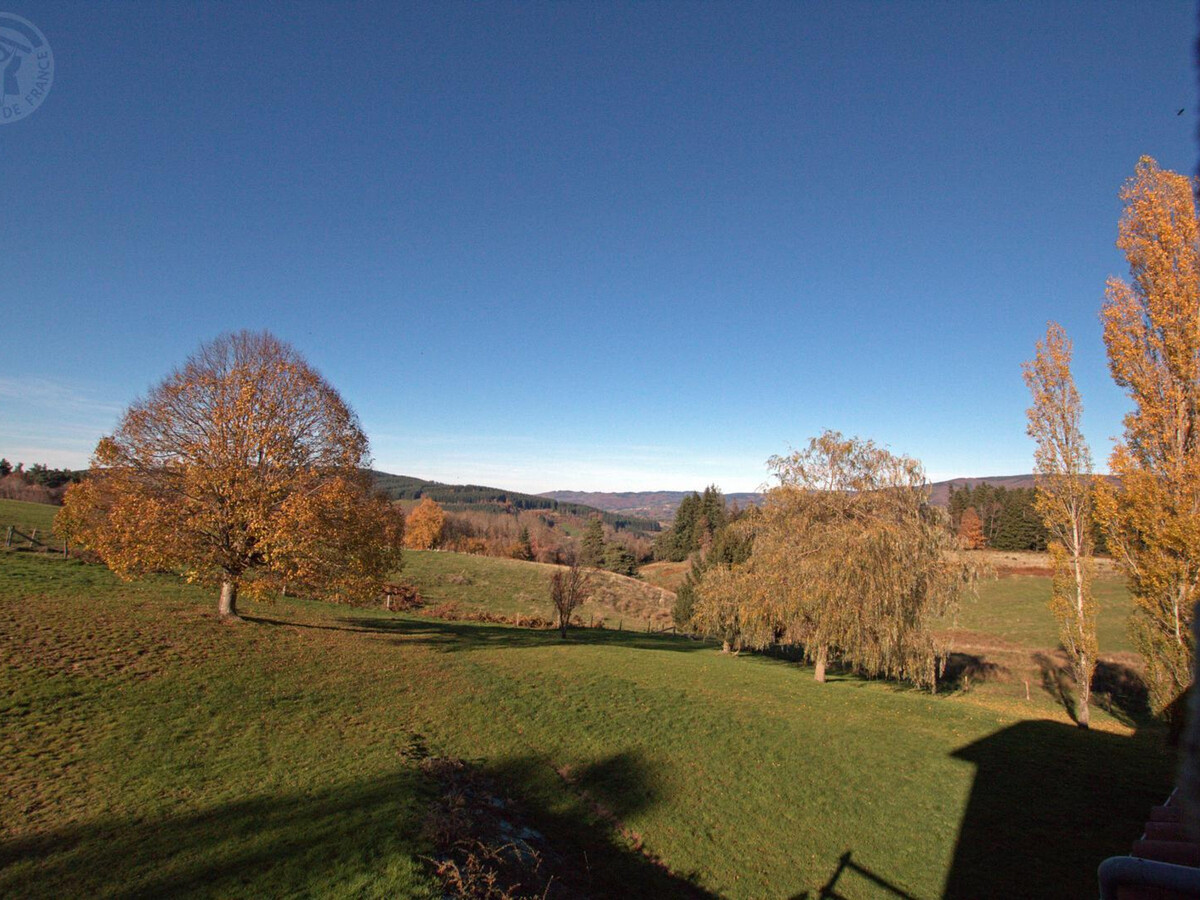 Gîte 12-14 pers, piscine chauffée et pool house à Saint-Priest-la-Prugne - Photo 26