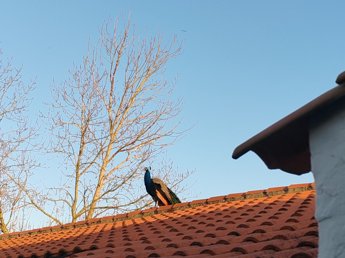 Gîte rustique au cœur du Marais breton, 6 personnes - Photo 17