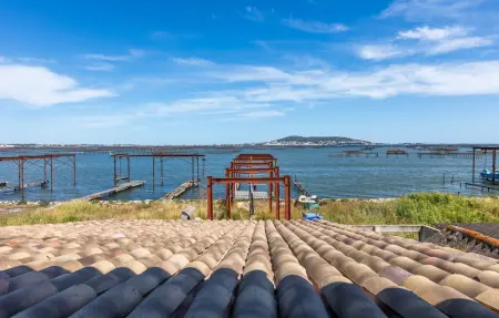 Location maison à Loupian