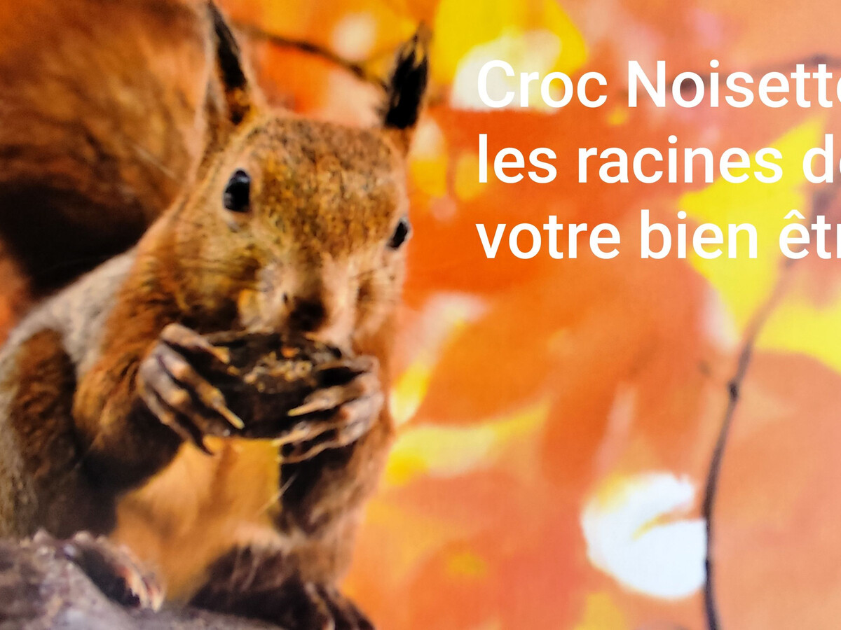 Gîte Croc Noisettes, maisonnette en pierre à Uzemain - Photo 15