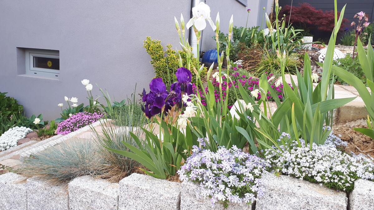 Appartement 42 m² à Berstett, jardin et baignoire balnéo - Photo 7