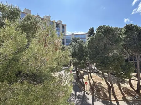 Appartement 2 pièces climatisé, vue mer à Banyuls-sur-Mer : photo 14