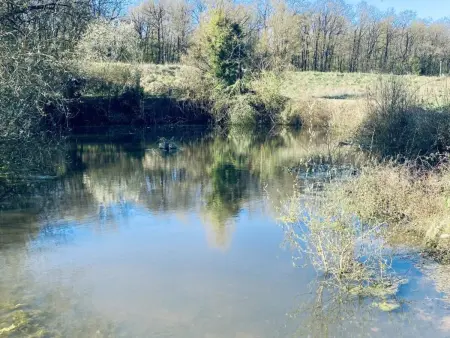 Gîte luxe Val de Loire : piscine et spa chauffés toute l'année - Photo 3