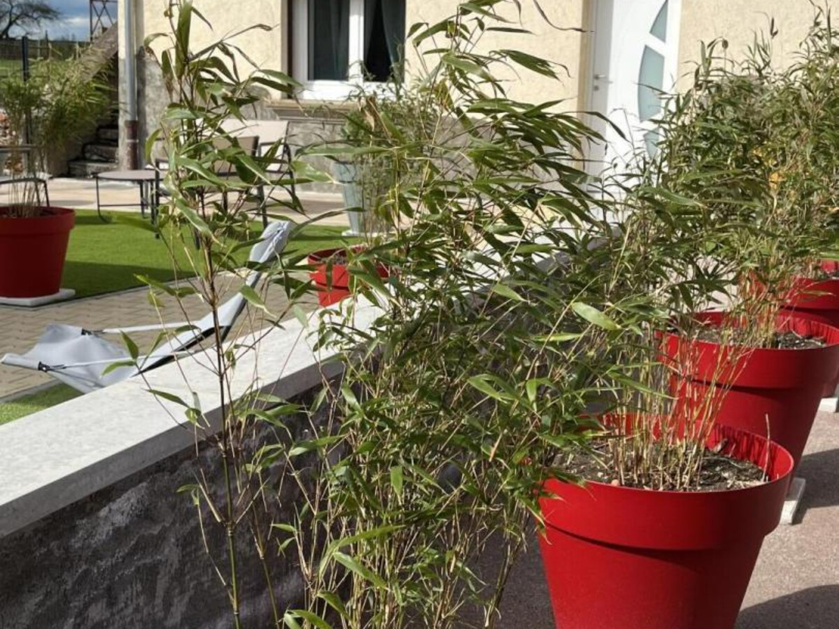 Gîte Chez Pierrot, 3 épis, 6 pers à Cognat-Lyonne - Photo 18