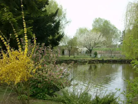 Gîte 4 pers. avec piscine et jeux d'enfants à Contres : photo 11